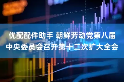 优配配件助手 朝鲜劳动党第八届中央委员会召开第十二次扩大全会