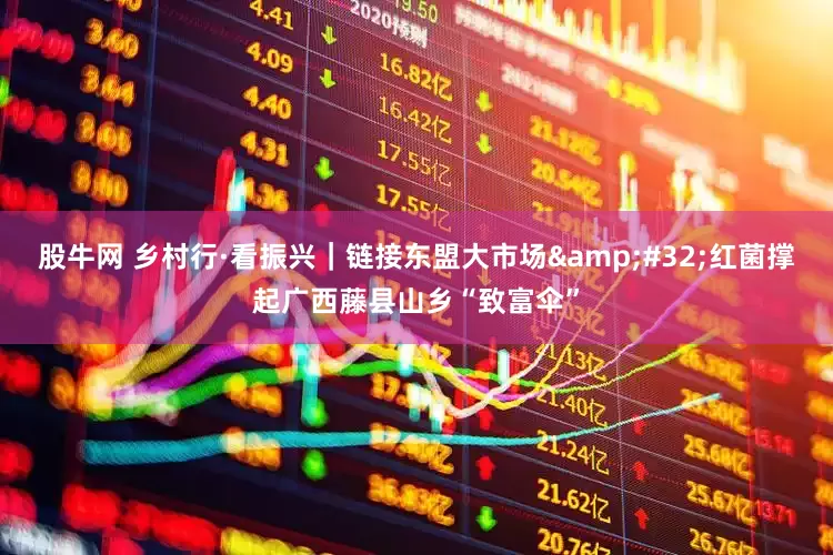 股牛网 乡村行·看振兴｜链接东盟大市场&#32;红菌撑起广西藤县山乡“致富伞”