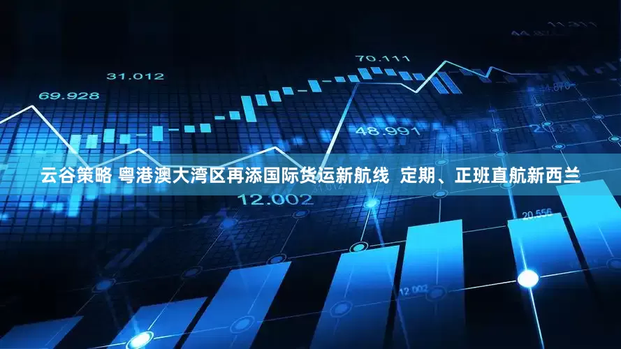 云谷策略 粤港澳大湾区再添国际货运新航线  定期、正班直航新西兰